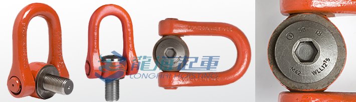 盧森堡DSS型旋轉(zhuǎn)吊環(huán) 盧森堡DSS型旋轉(zhuǎn)吊環(huán)