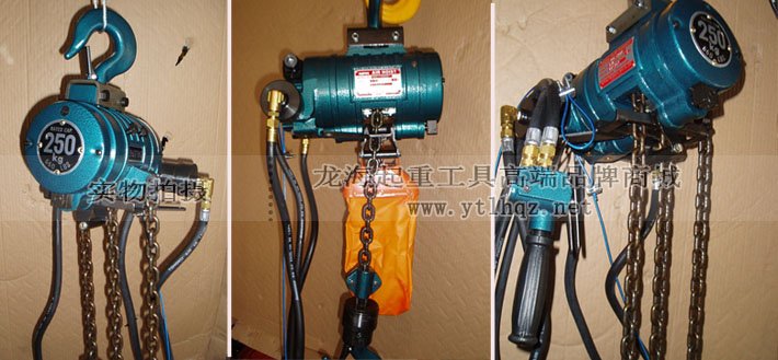 RHL-250P按鈕式氣動葫蘆細節(jié)圖