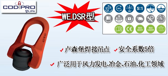 WE.DSR型盧森堡焊接吊點產品圖片