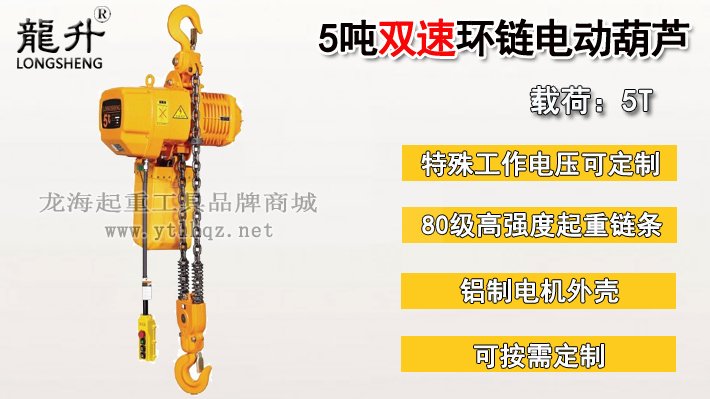 5噸雙速環(huán)鏈電動(dòng)葫蘆圖片 5噸雙速環(huán)鏈電動(dòng)葫蘆圖片