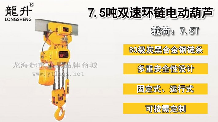 7.5噸雙速環(huán)鏈電動葫蘆圖片