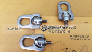SS.DSR型不銹鋼旋轉(zhuǎn)吊環(huán)實(shí)物圖一
