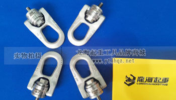 SS.DSR型不銹鋼旋轉(zhuǎn)吊環(huán)實(shí)物圖二