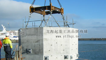 SS.DSR型不銹鋼旋轉(zhuǎn)吊環(huán)使用案例圖一